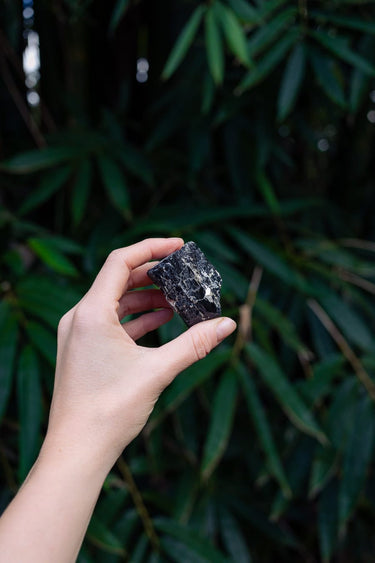 Petite Black Tourmaline on Matrix